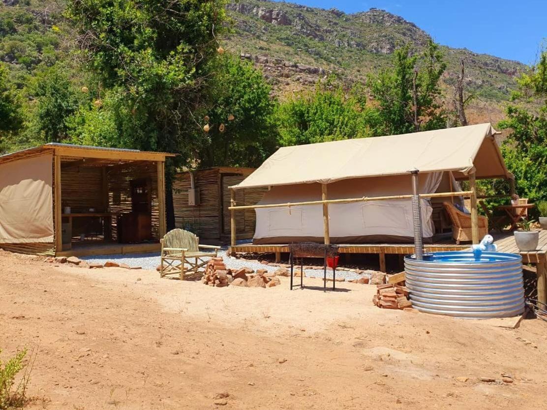 Leopard Valley Eco Retreat Цитрусдал Стая снимка