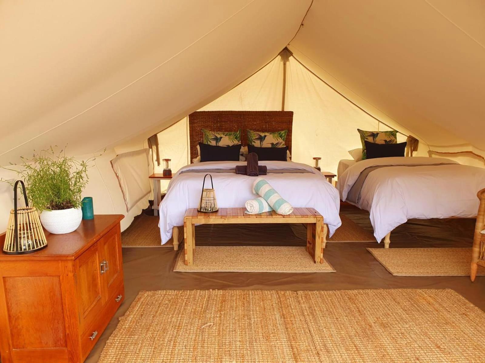 Leopard Valley Eco Retreat Цитрусдал Стая снимка