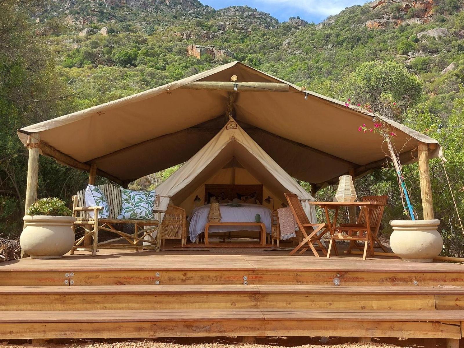 Leopard Valley Eco Retreat Цитрусдал Стая снимка