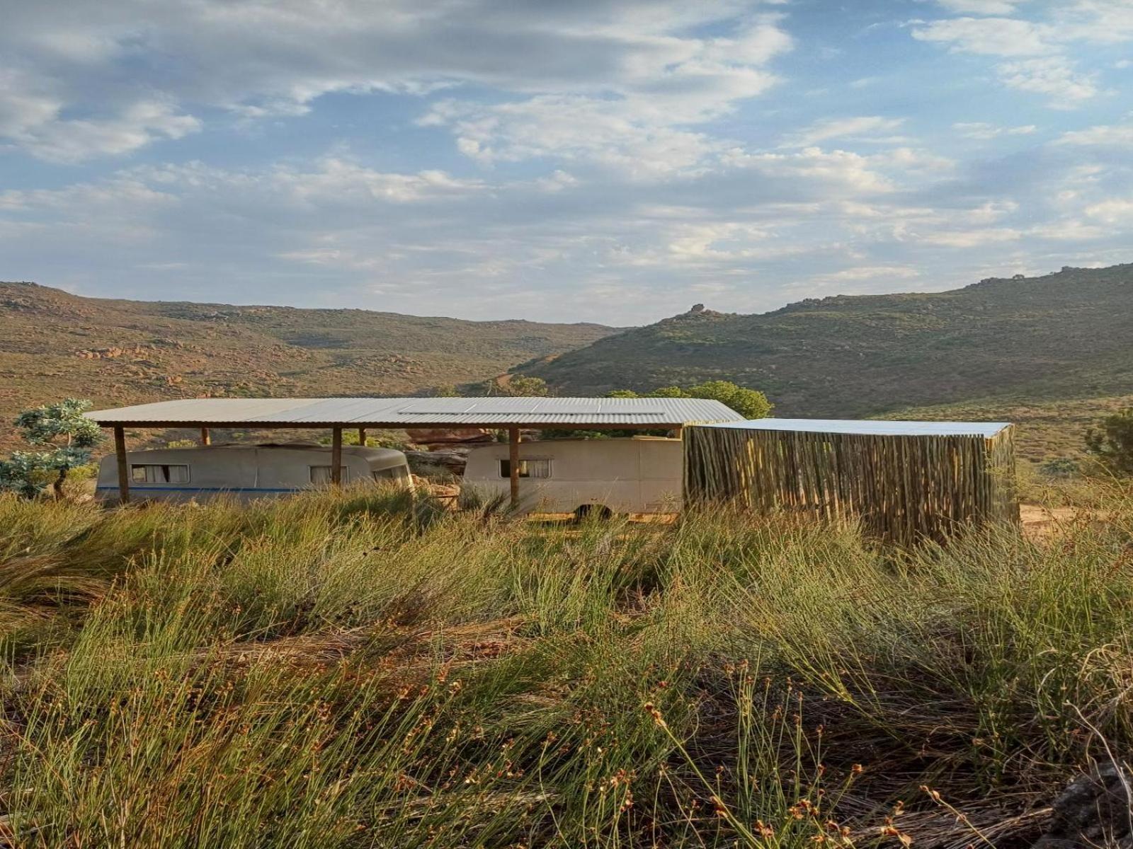 Leopard Valley Eco Retreat Цитрусдал Стая снимка