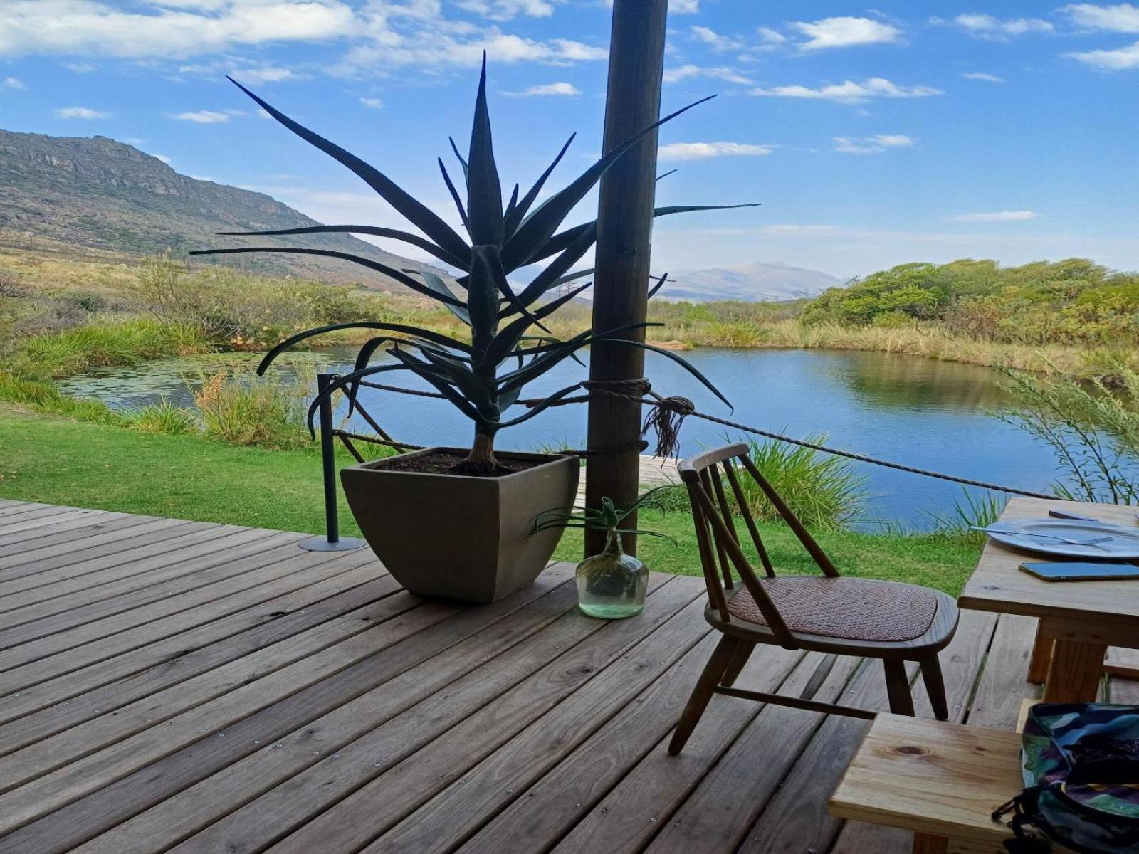 Leopard Valley Eco Retreat Цитрусдал Стая снимка
